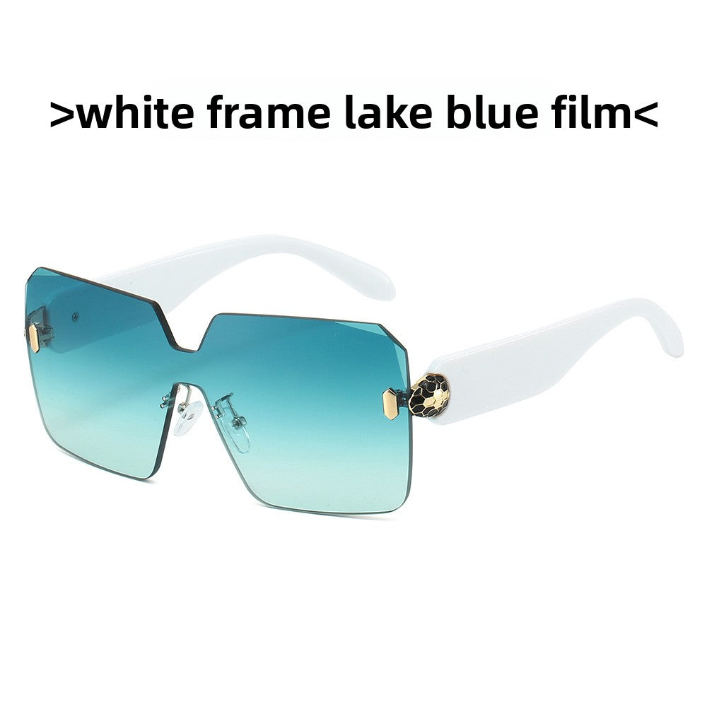 Fashion Square Sunglasses