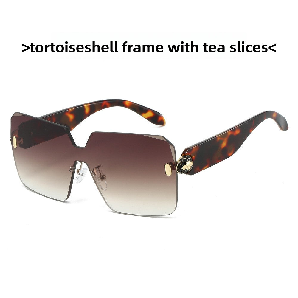 Fashion Square Sunglasses