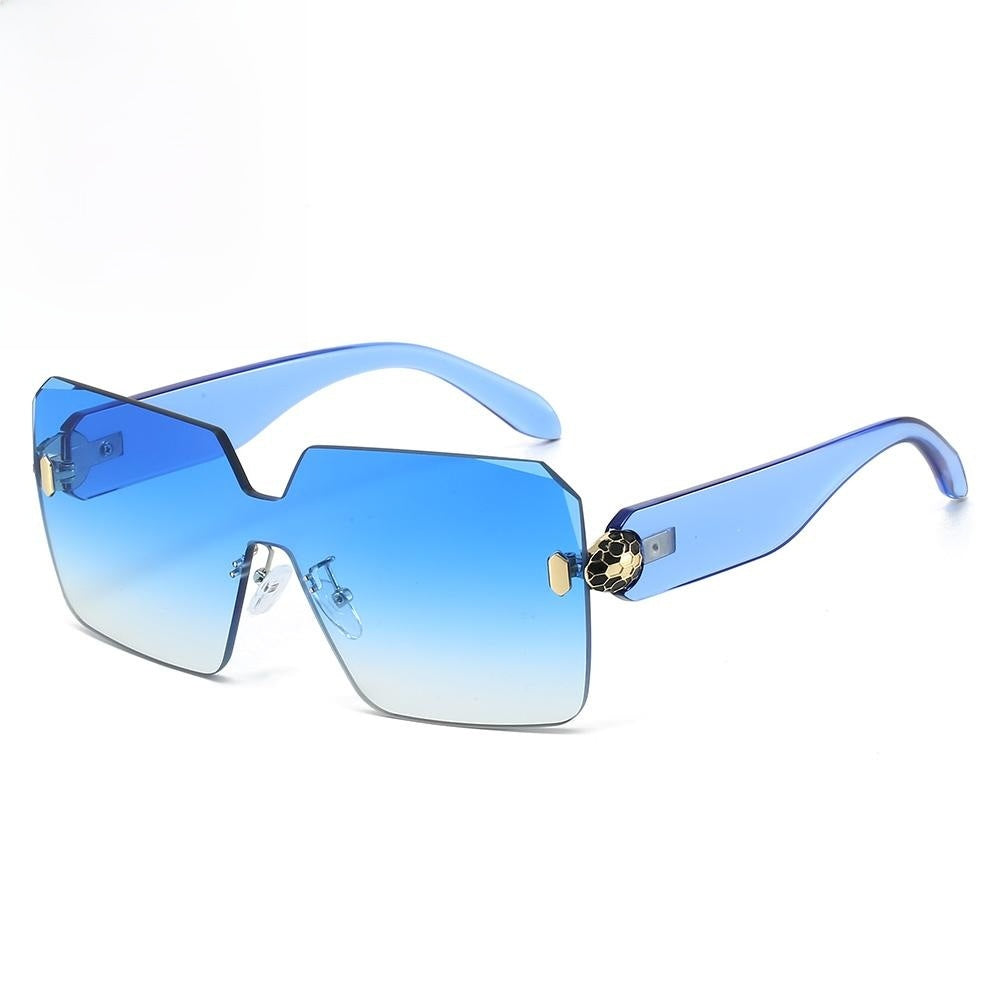 Fashion Square Sunglasses
