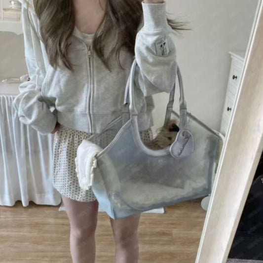 French Style Mesh Pet Carrier Bag