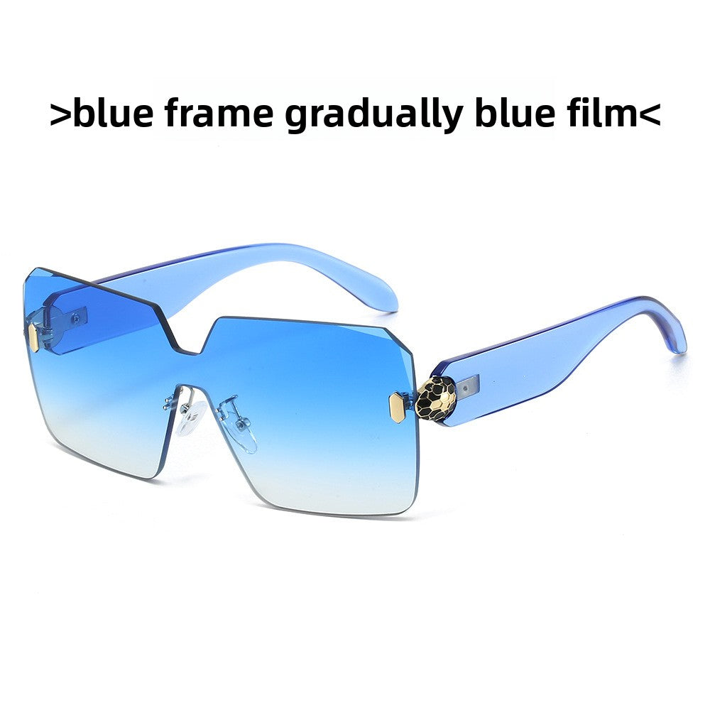 Fashion Square Sunglasses