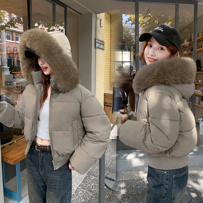Detachable Hood Winter Cotton Jacket