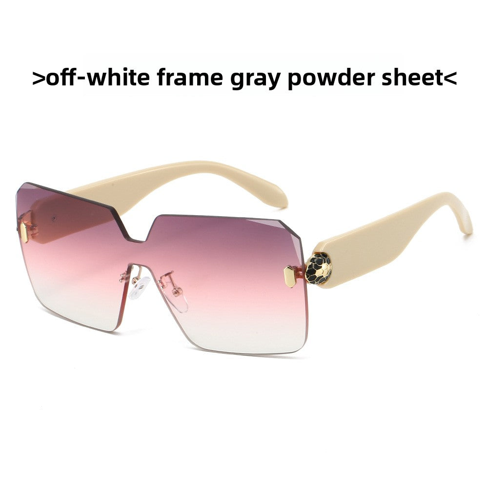 Fashion Square Sunglasses