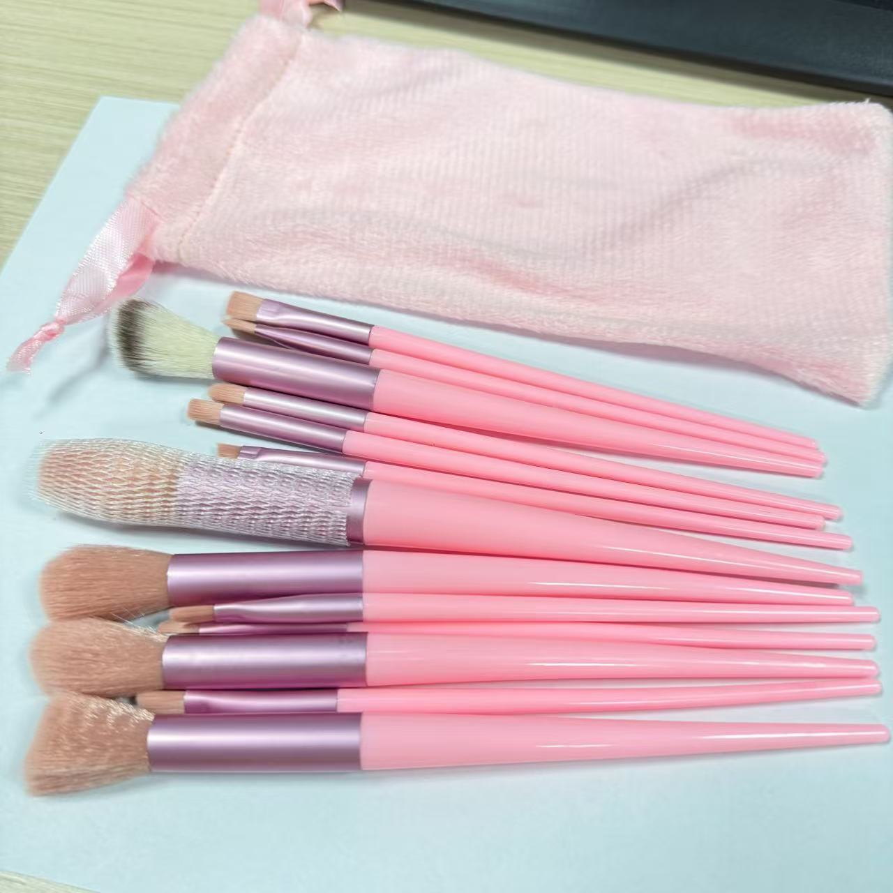 13-Piece Makeup Brush Set with Velvet Bag