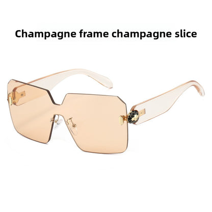 Fashion Square Sunglasses