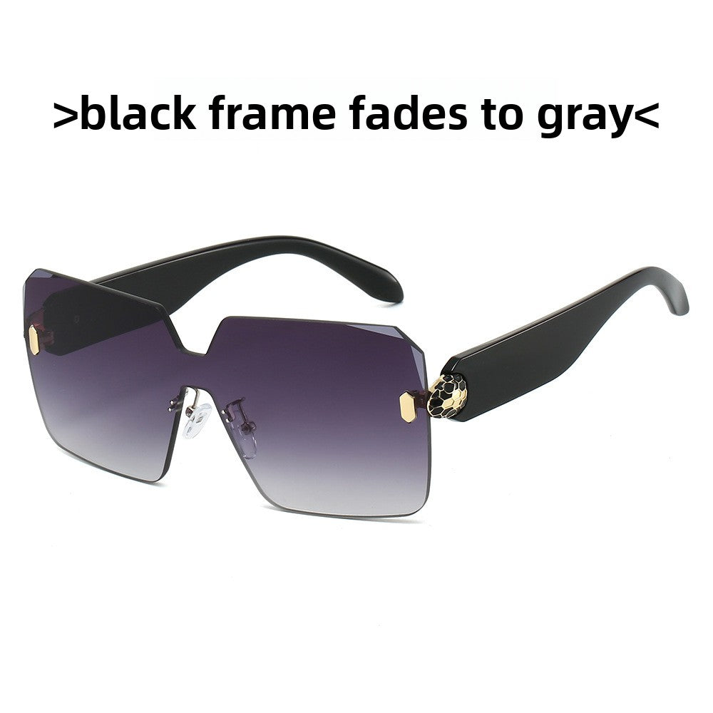 Fashion Square Sunglasses